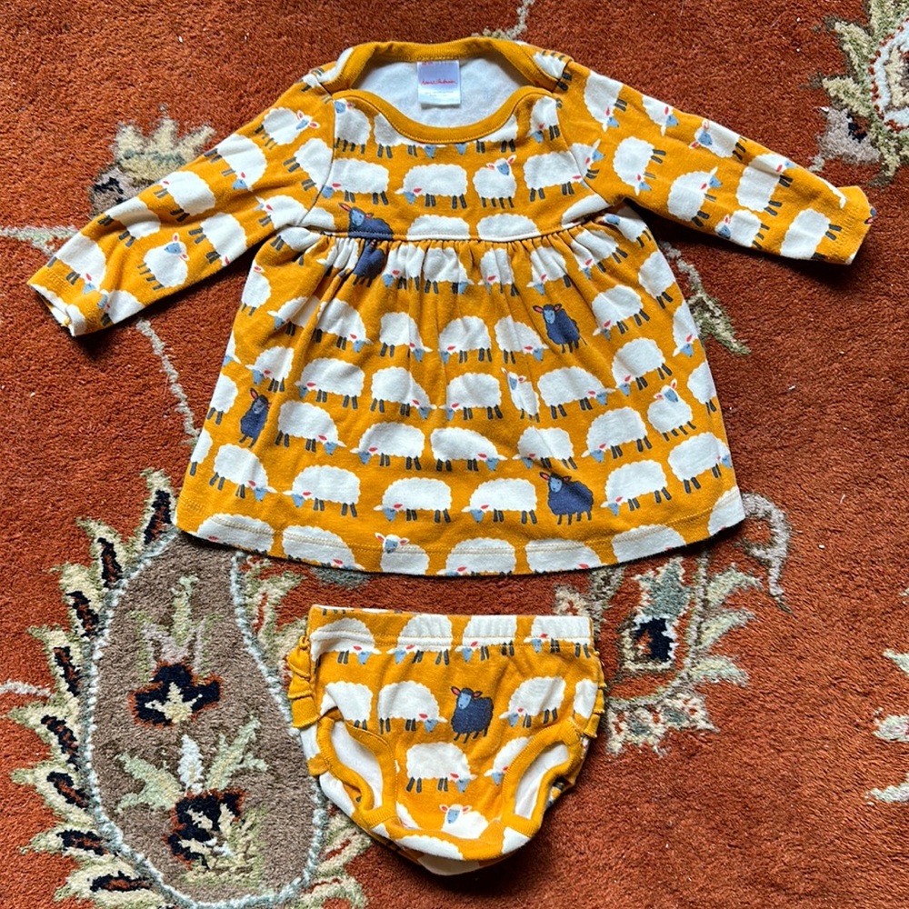 Hannah Anderson 100% Organic Cotton Black Sheep Dress with Ruffled Bloomer 3-6m